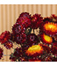 Getrockneter roter Helichrysum | Rote getrocknete Strohblumen | Länge 55 Zentimeter | Bestellung pro Stück