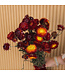 Getrockneter roter Helichrysum | Rote getrocknete Strohblumen | Länge 55 Zentimeter | Bestellung pro Stück