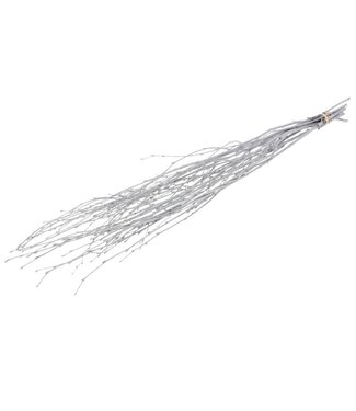 MyFlowers Grey Misty dried birch branches | Length ± 60 cm | Per bunch of 10 branches