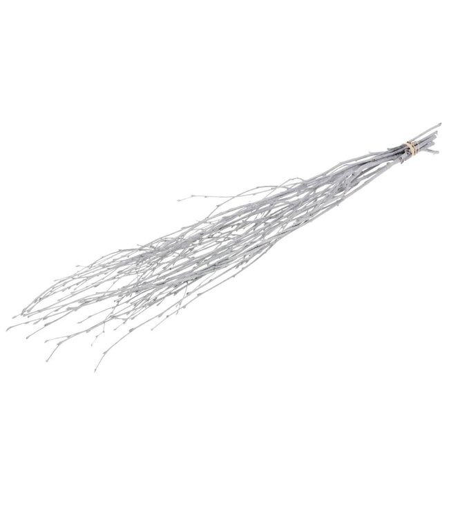 Grey Misty dried birch branches | Length ± 60 cm | Order per bunch of 10 branches