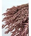 Avoine séchée Pink Misty | Fleurs séchées Pink Avena | Longueur 70 centimètres | Commande par bouquet