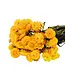 Helichrysum jaune séché | Fleurs séchées jaune paille | Longueur 55 centimètres | Commande par pièce