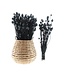 Sleeping Globe noir séché | Papaver Somniferum noir fleurs séchées | Longueur ± 65 centimètres | Commande par bouquet