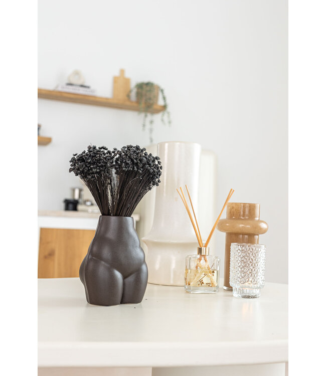 Glixia Star Flowers séchées noires | Glixia Star Flowers noires | Longueur ± 50 cm | Commande par bouquet