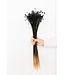 Glixia Star Flowers séchées noires | Glixia Star Flowers noires | Longueur ± 50 cm | Commande par bouquet