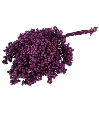 MyFlowers Baies de poivre séché pourpre | Décoration de séchage de Schinus pourpre | Longueur ± 30 cm | Par botte