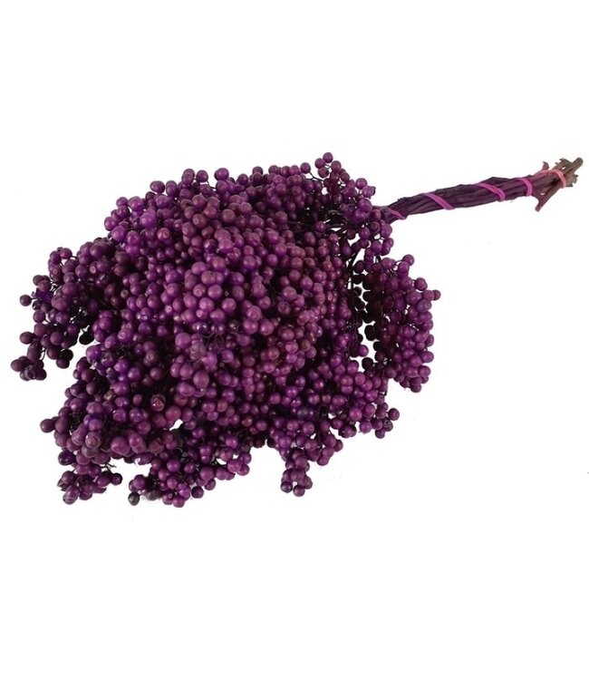 Baies de poivre séchées pourpres | Décoration de séchage Schinus pourpres | Longueur ± 30 cm | Commande par botte