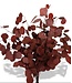 Red Eucalyptus Populus | Preserved | Length 60 centimetres | Per 150 grams | Available to order individually