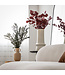 Red Eucalyptus Populus | Preserved | Length 60 centimetres | Per 150 grams | Available to order individually