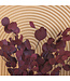 Red Eucalyptus Populus | Preserved | Length 60 centimetres | Per 150 grams | Available to order individually