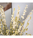 Larkspur blanc séché | Delphinium fleurs séchées | Longueur 70 centimètres | Commande par bouquet
