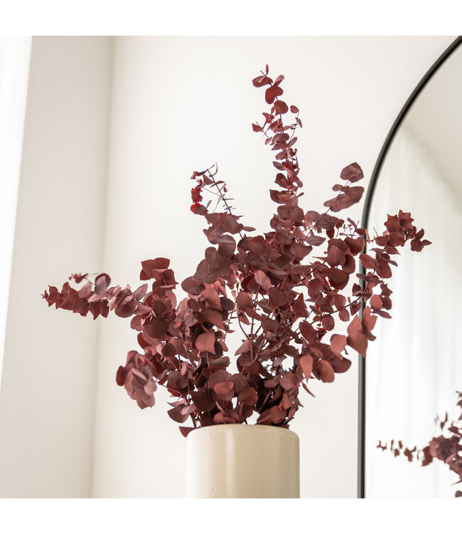 Red eucalyptus Stuartiana preserved | Per 150 grams | Length ± 60 centimetres