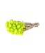 Lime green Cape Everlasting dried flowers | Length ± 40 centimetres | Order by bunch