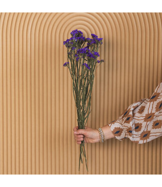 MyFlowers Lambsore pourpre séché | Statice Sinuata pourpre fleurs séchées | Longueur ± 70 centimètres | Par bouquet