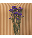 Lambsore boisé séché pourpre | Statice Sinuata fleurs séchées pourpre | Longueur ± 70 centimètres | Peut être commandé par bouquet