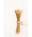 Natürliche getrocknete Jazilda | Natürliche Happy Flower Trockenblumen | Länge ± 45 Zentimeter | Bestellung pro Strauß