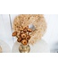 Brown natural Protea Compacta | Length ± 35 centimetres | Available per 10 stems