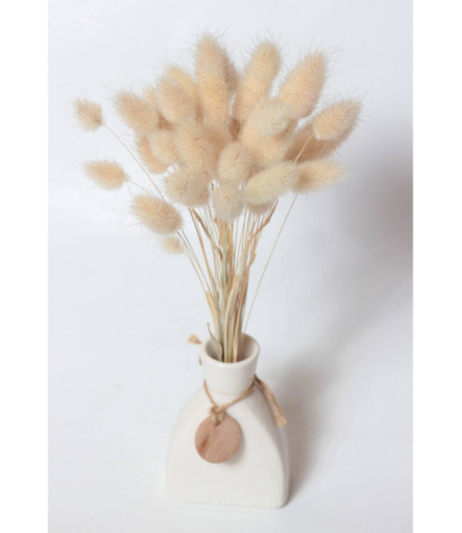 Queues de lièvres séchées naturelles | Fleurs séchées naturelles de Lagurus Ovatus | Longueur ± 30 cm | Commande par bouquet