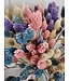 Bouquet d'alpiste couleur pastel | Bouquet de fleurs séchées de Phalaris couleur pastel | Longueur ± 65 cm | Commande par bouquet