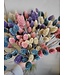 Bouquet d'alpiste couleur pastel | Bouquet de fleurs séchées de Phalaris couleur pastel | Longueur ± 65 cm | Commande par bouquet