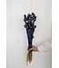 Sleeping Globe séché bleu foncé | Fleurs séchées Papaver Somniferum bleu foncé | Longueur ± 65 centimètres | Commande par bouquet