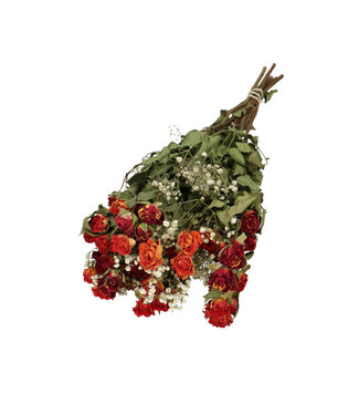 DriedRoses.com Mi Amor Orange | Bouquet with 8 orange spray roses 2 stems of white baby's breath | Per bouquet