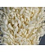 Bleached Briza Maxima dried flowers | Length 50 centimetres | Available per bunch