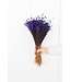 Fleurs de clochettes séchées pourpres | Fleurs étoilées de Glixia pourpres | Longueur ± 50 cm | Commande par bouquet