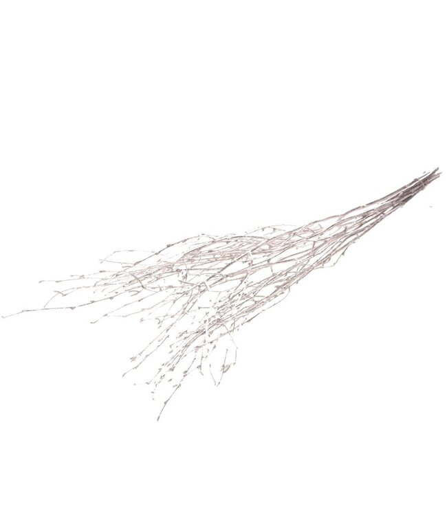 Silver coloured dried birch branches | Length ± 60 cm | Order per bunch of 10 branches
