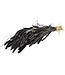 Setaria noir séché | Setarea noir séché | Longueur ± 70 cm | Commande par bouquet