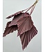 Vieux Rose feuille de palmier séchée | Lance de palmier rose fleurs séchées | Longueur ± 45 centimètres | Commande par 5 branches