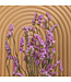Lambsore séché rose clair | Fleurs séchées Statice Sinuata rose clair | Longueur ± 70 centimètres | Peut être commandé par bouquet