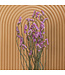Lambsore séché rose clair | Fleurs séchées Statice Sinuata rose clair | Longueur ± 70 centimètres | Peut être commandé par bouquet