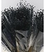 Lin noir séché | Linum noir fleurs séchées | Longueur ± 55 cm | Commande par bouquet