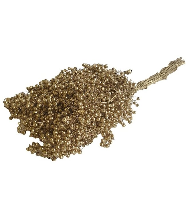 Goldene getrocknete Pfefferbeeren | Goldene Schinus Trocknungsdekoration | Länge ± 30 cm | Bestellung pro Bündel