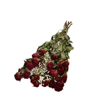 DriedRoses.com Mi Amor Rojo | Bouquet with 8 red spray roses 2 stems of white gypsophila | Per bouquet
