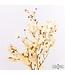 Branche de Bougainvillier blanchie | Longueur 45 centimètres | Commande par branche
