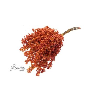 MyFlowers Baies de poivre séchées dans le ton de la terre | Décoration sèche de Schinus en terre cuite | Longueur ± 30 cm | Par botte