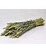Blé vert séché naturel | Fleurs séchées de Triticum naturel | Longueur 70 centimètres | Commande par bouquet