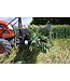 Blé vert séché naturel | Fleurs séchées de Triticum naturel | Longueur 70 centimètres | Commande par bouquet