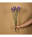 Lilas Statice Sinuata fleurs séchées | Longueur ± 70 centimètres | Commande par bouquet