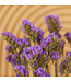Lilas Statice Sinuata fleurs séchées | Longueur ± 70 centimètres | Commande par bouquet