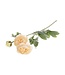 Champagnekleurige Ranonkel zijden bloem "Champagne Ranunculus" | Tak met 3 bloemen | Lengte 50 centimeter | Per tak te bestellen