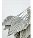 Feuille de palmier séchée White Misty | Fleurs séchées White Palm Spear | Longueur ± 45 cm | Commande par 10 branches