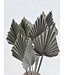 Feuille de palmier séchée White Misty | Fleurs séchées White Palm Spear | Longueur ± 45 cm | Commande par 10 branches