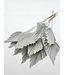 Feuille de palmier séchée White Misty | Fleurs séchées White Palm Spear | Longueur ± 45 cm | Commande par 10 branches