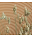 Phalaris naturel vert séché | fleurs séchées d'alpiste naturel | Longueur 70 centimètres | Commande par bouquet