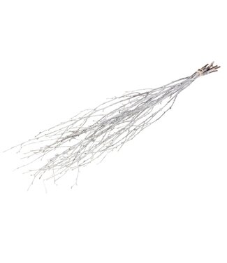 MyFlowers White Misty dried birch branches | Length ± 60 cm | Per bunch of 10 branches