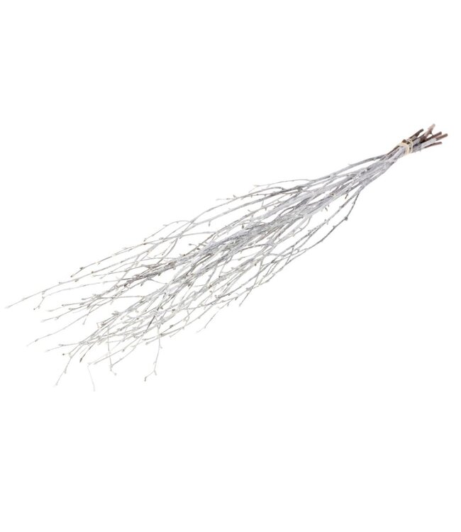 White Misty dried birch branches | Length ± 60 cm | Order per bunch of 10 branches