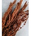 Natural brown dried Eyelid Stick | Brown Palak Stick dried flowers | Length 70 centimetres | Order per bunch